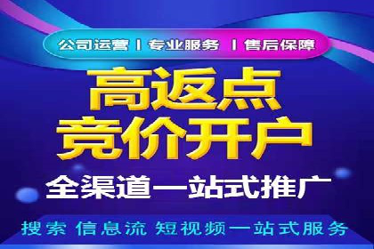 谷歌竞价广告的创意设计及某品牌成功经验